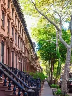 228 Vanderbilt Avenue