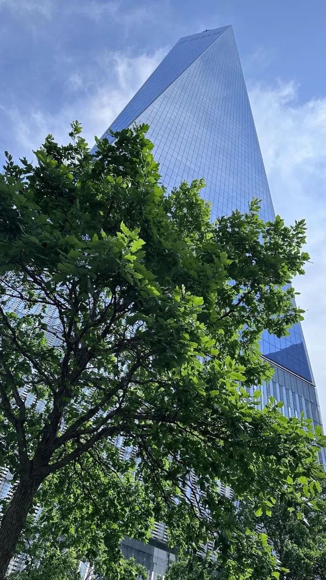 376 Broadway #3-F, New York, NY 10013