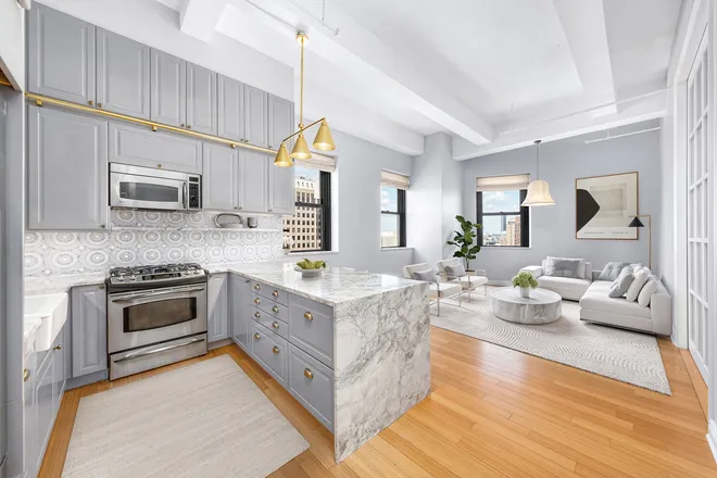 365 BRIDGE Street #22C, Brooklyn, NY 11201