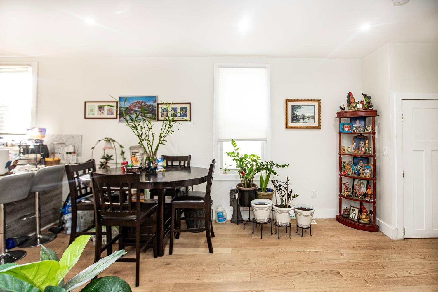 203 PEARSALL Avenue, Jersey City, JC Greenville, NJ 07305 - Property photo 5 of 49