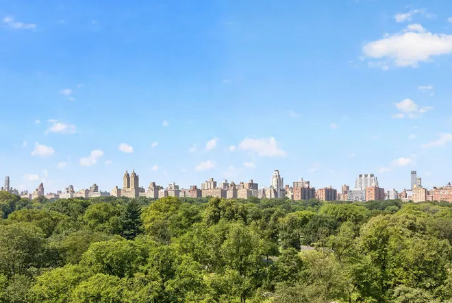 1215 5th Avenue #11/12, New York, NY 10029