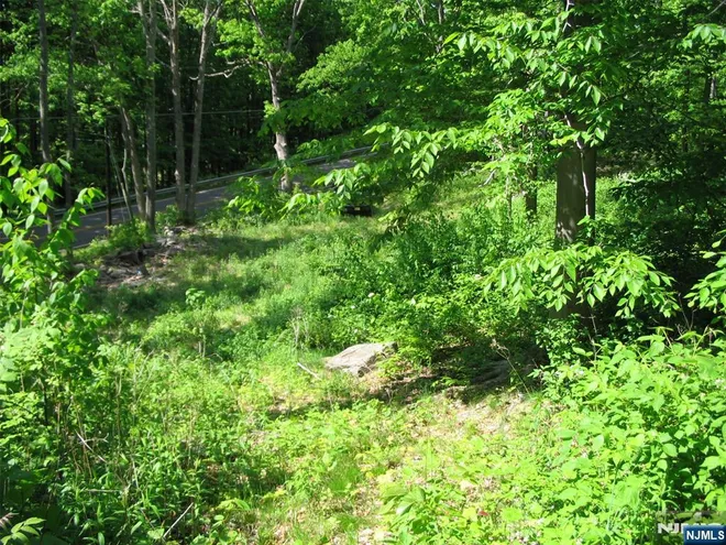 67 Pidgeon Hill, Wantage, NJ 07461
